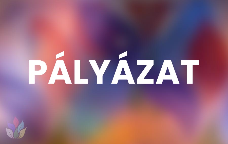 Student Union International Relations Assistant – pályázat